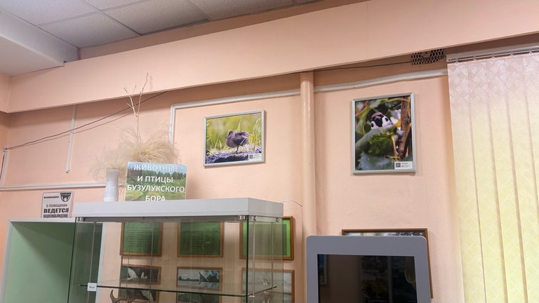 Выставка в с. Борское