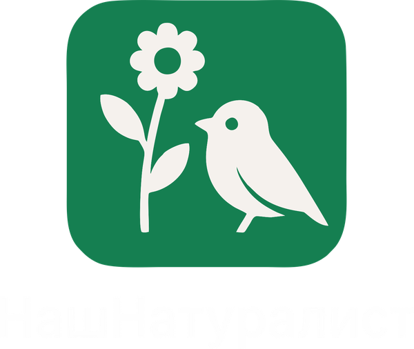 Логотип: НашНатуралист